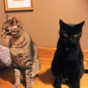 Meet your Posher, Grace